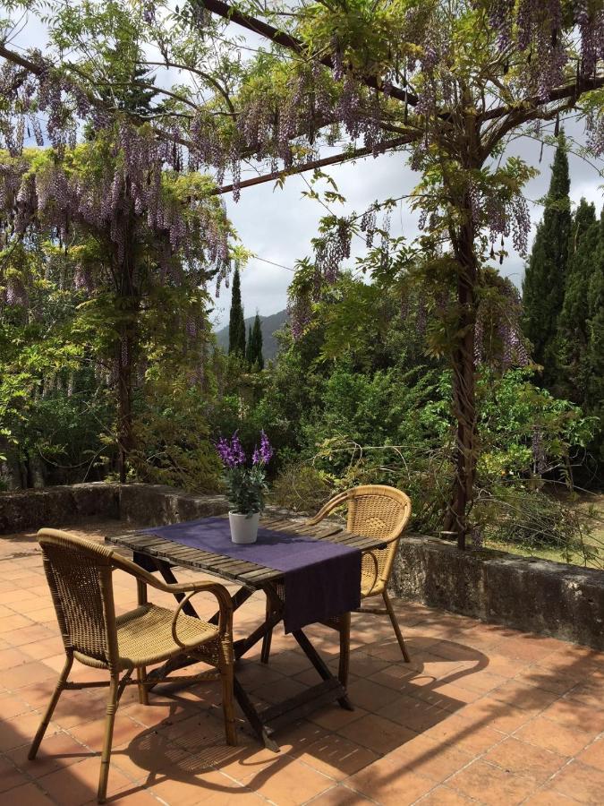 Finca Can Trui Teresa Польєнса Екстер'єр фото